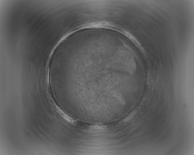 X0000082991224200702160015