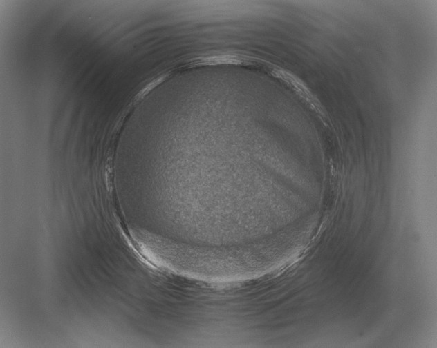 X0000082991225200702160015