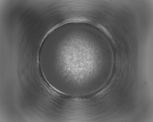 X0000082991226200702160015