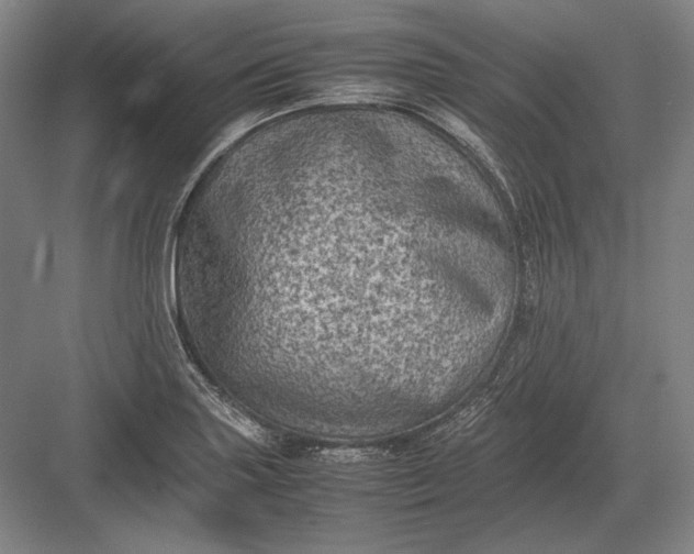 X0000082991227200702160015