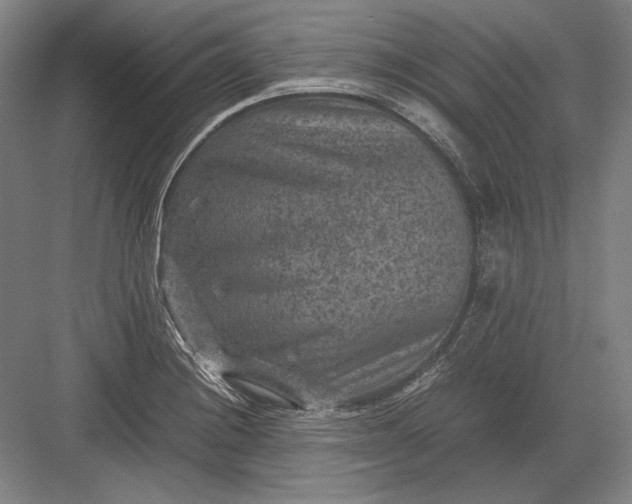 X0000082991228200702160015