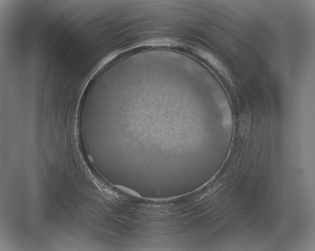 X0000082991229200702160015