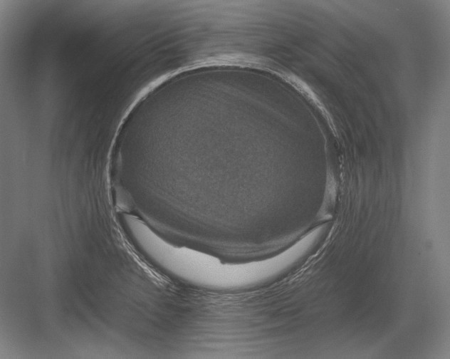 X0000082991230200702160015