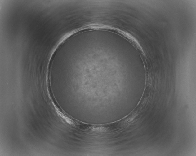 X0000082991231200702160015