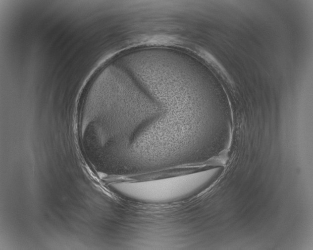 X0000082991232200702160015