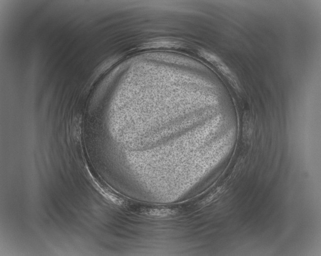 X0000082991233200702160015