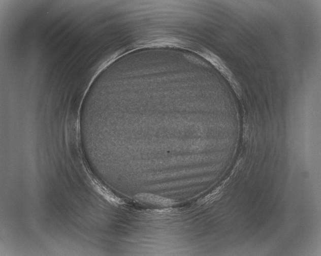 X0000082991234200702160015