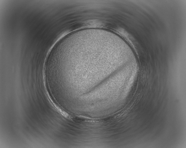 X0000082991235200702160015