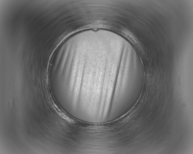 X0000082991236200702160015