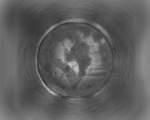 X0000082991237200702160015