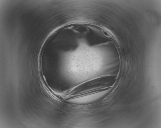 X0000082991238200702160015