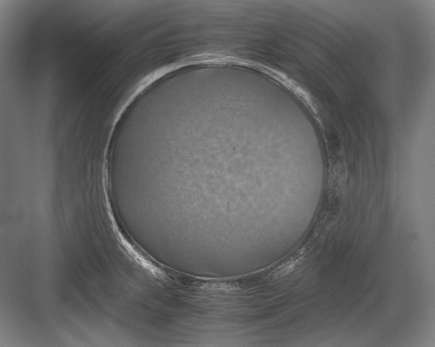 X0000082991239200702160015