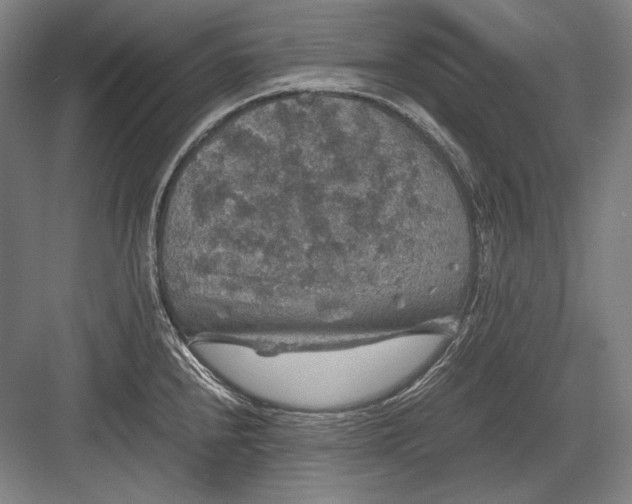 X0000082991240200702160015