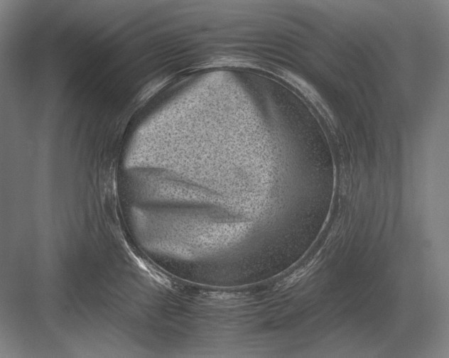 X0000082991241200702160015