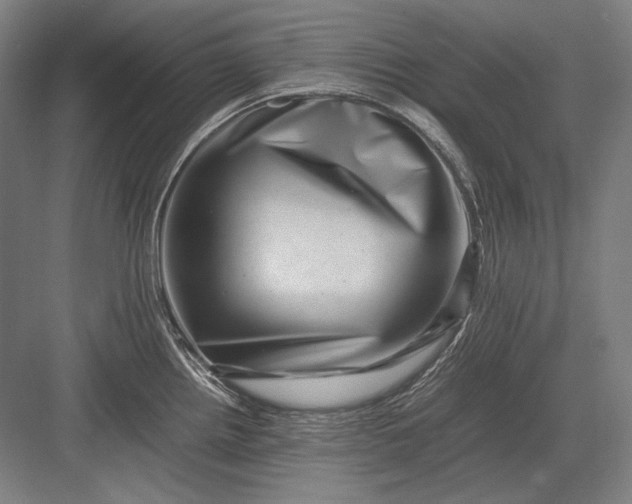 X0000082991242200702160015