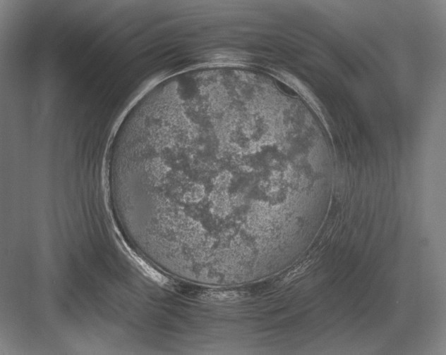 X0000082991243200702160015