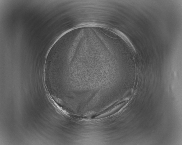 X0000082991244200702160015