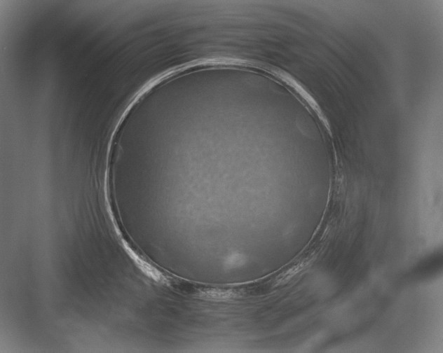 X0000082991245200702160015