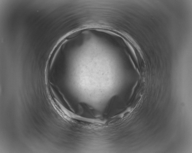 X0000082991246200702160015