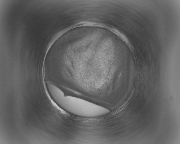 X0000082991247200702160015