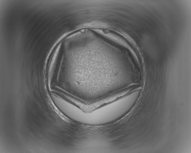 X0000082991248200702160015