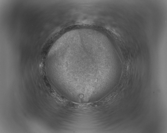 X0000082991254200702160014