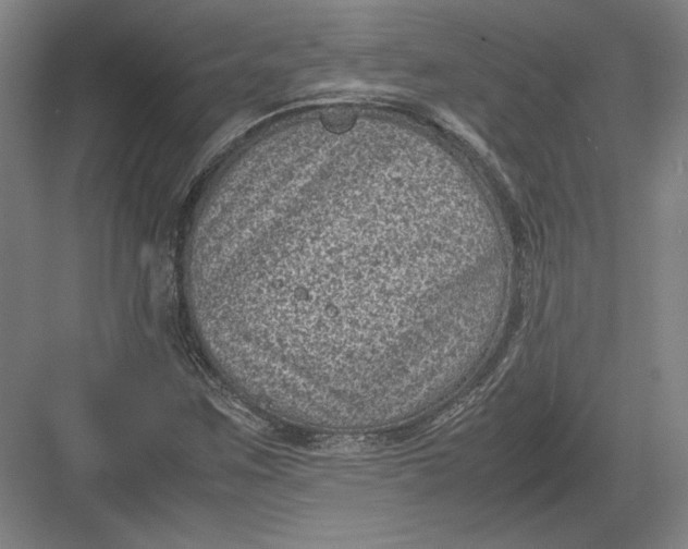 X0000082991259200702160014