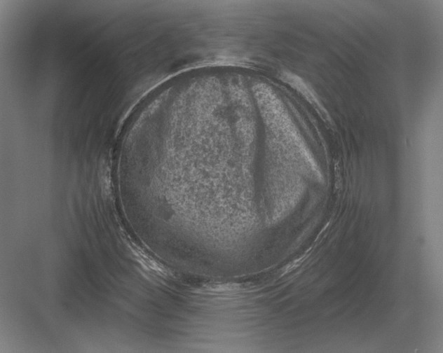 X0000082991260200702160014