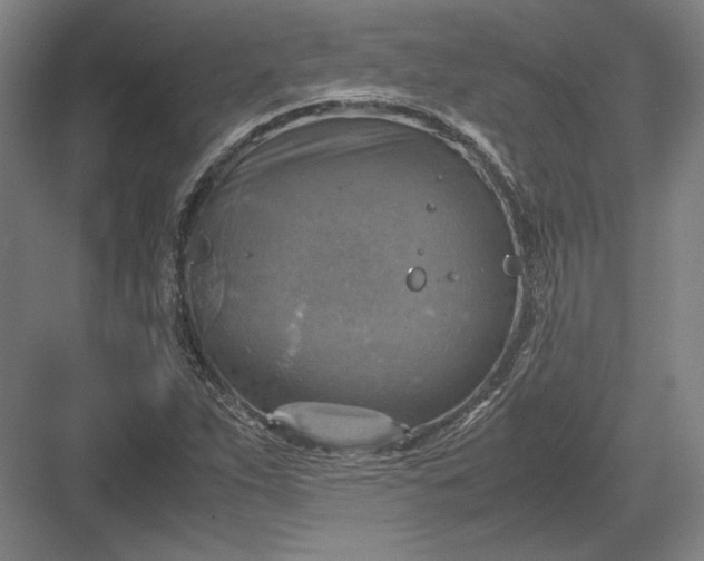 X0000082991263200702160014