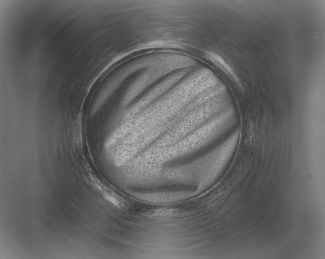 X0000082991268200702160014