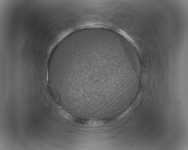 X0000082991269200702160014