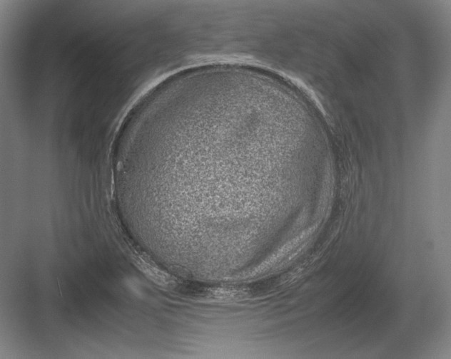 X0000082991271200702160014