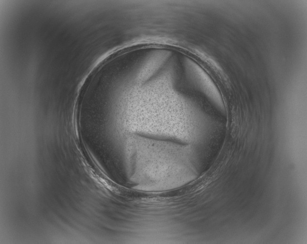 X0000082991272200702160014