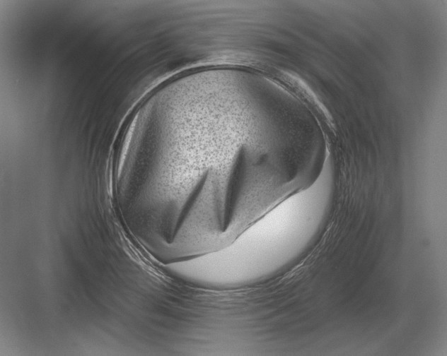 X0000082991276200702160014