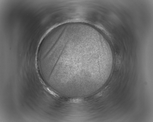 X0000082991278200702160014