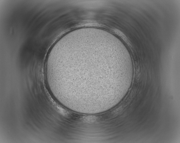 X0000082991282200702160014