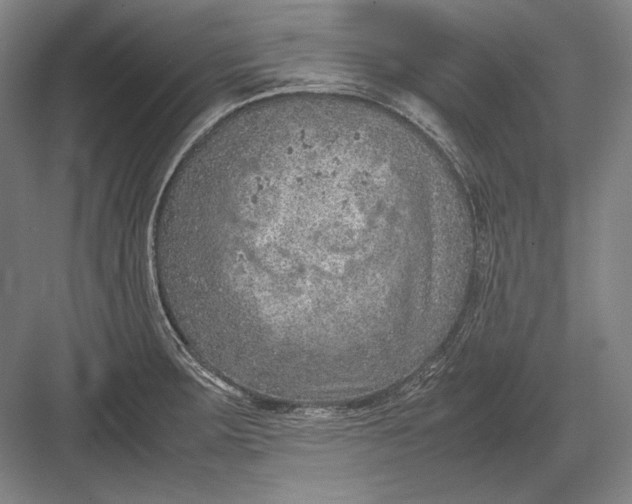 X0000082991283200702160014