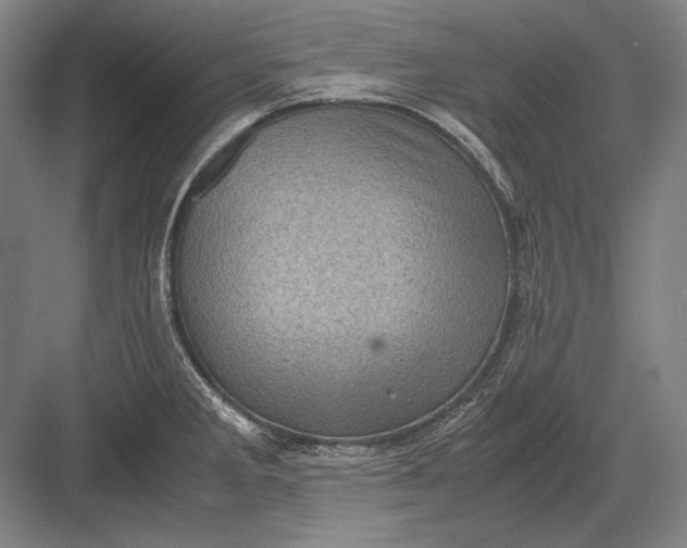 X0000082991285200702160014