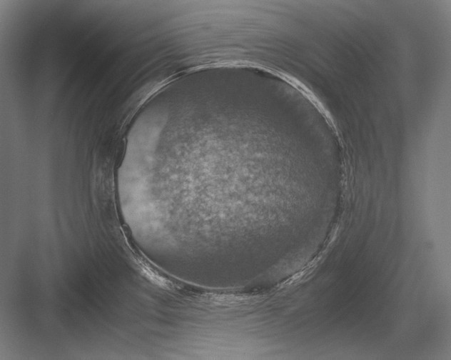 X0000082991289200702160014