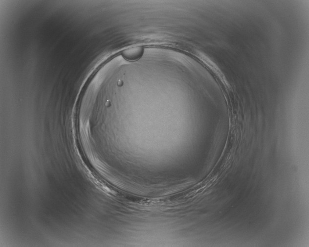 X0000082991291200702160014