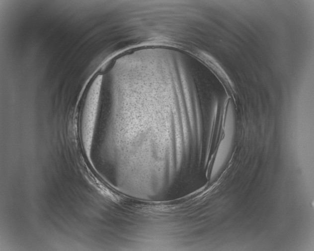 X0000082991292200702160014