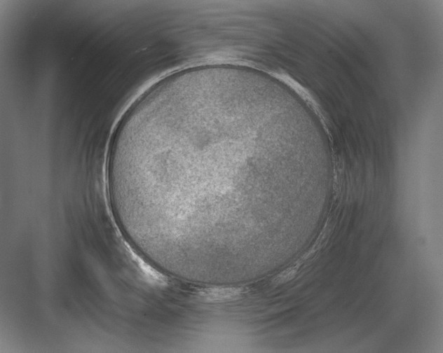 X0000082991294200702160014