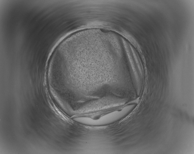 X0000082991296200702160014