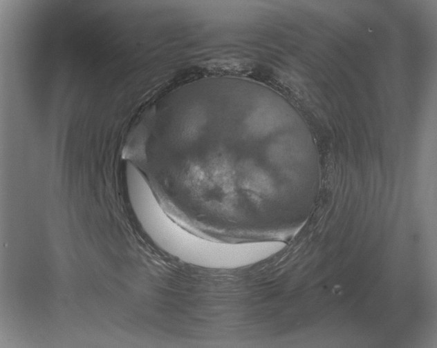 X0000082991297200702160013