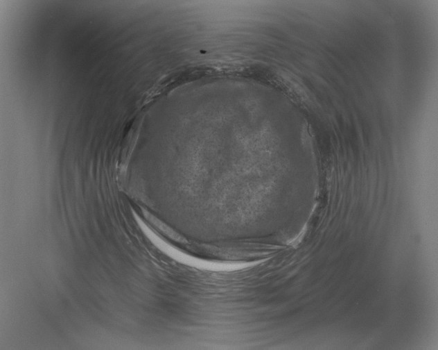 X0000082991298200702160013