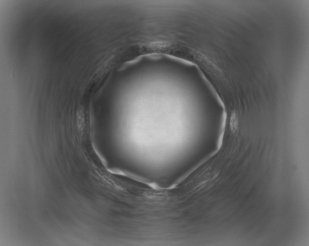 X0000082991299200702160013