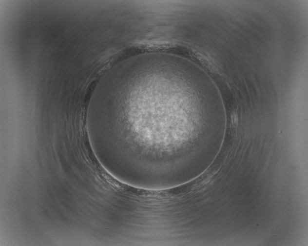 X0000082991300200702160013