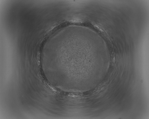 X0000082991301200702160013