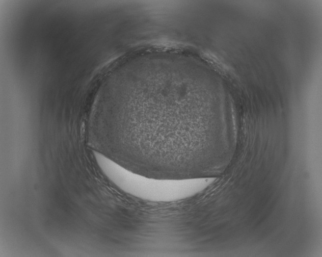 X0000082991302200702160013