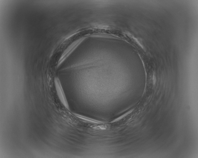 X0000082991303200702160013